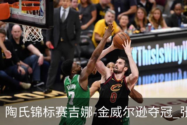 陶氏锦标赛吉娜-金/威尔逊夺冠 张维维/张雅惠T12